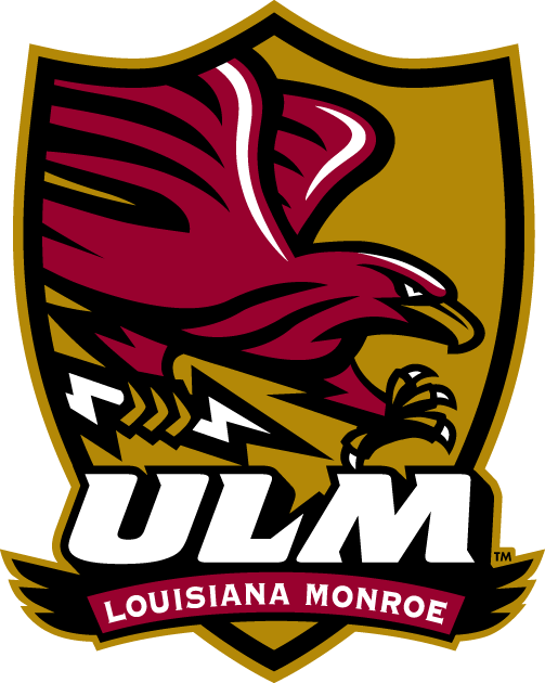 Louisiana-Monroe Warhawks 2006-Pres Alternate Logo v3 iron on transfers for T-shirts